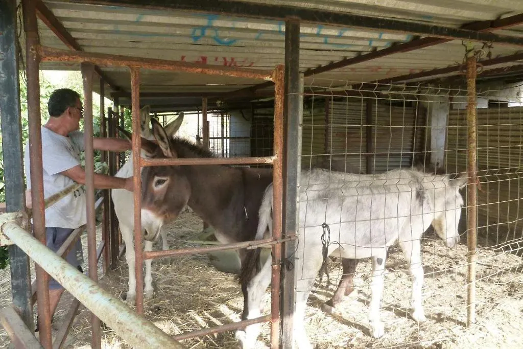 Finca Los Burros Tolatán 0*,  España
