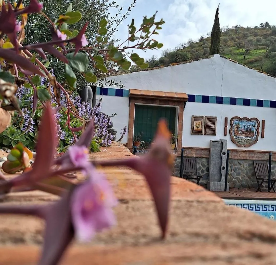 Finca Los Burros Tolatán Bed and breakfast