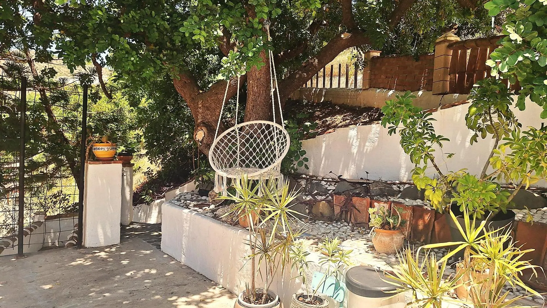 Finca Los Burros Tolatán