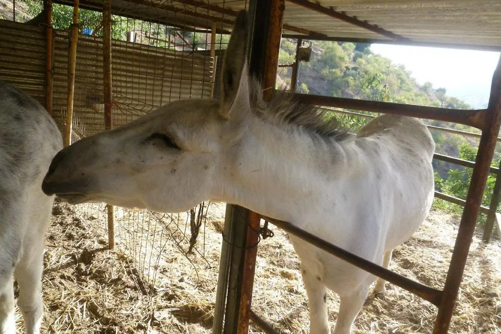 Finca Los Burros Totalan